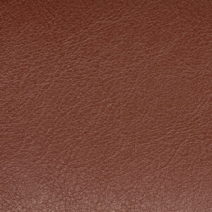 11. Lešnikova rjava Casco 09 BR 3