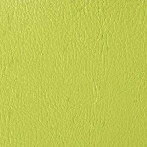 25. Svetlo zelena Tango Z 501