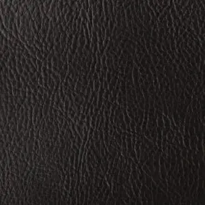 40. Črna alaska Alaska 09